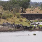  The Serengeti, TZ